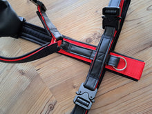 Lade das Bild in den Galerie-Viewer, Hundesport & Co