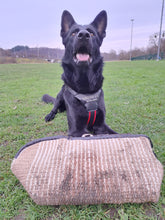 Lade das Bild in den Galerie-Viewer, Hundesport & Co