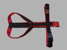 Lade das Bild in den Galerie-Viewer, Bailey