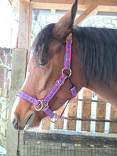 Lade das Bild in den Galerie-Viewer, Pinta