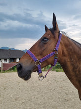 Lade das Bild in den Galerie-Viewer, Lady