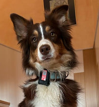 Lade das Bild in den Galerie-Viewer, KIGIBA - Found Patch