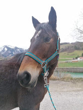 Lade das Bild in den Galerie-Viewer, Indian dream